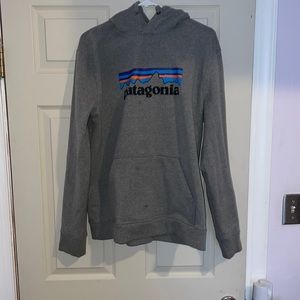 Patagonia Men’s sweatshirt